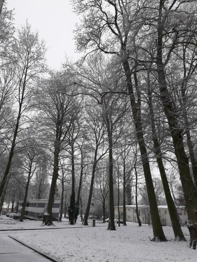 Gite Du Montagnard Oxelaere Eksteriør bilde