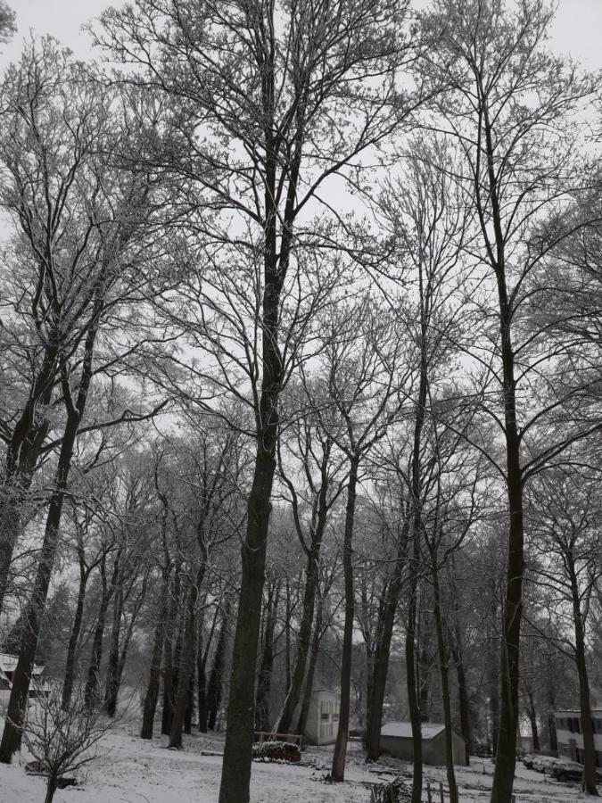Gite Du Montagnard Oxelaere Eksteriør bilde